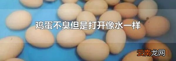 鸡蛋不臭但是打开像水一样
