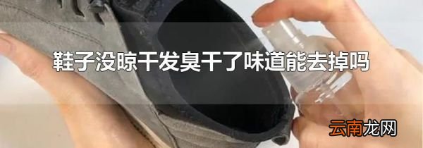 鞋子没晾干发臭干了味道能去掉吗
