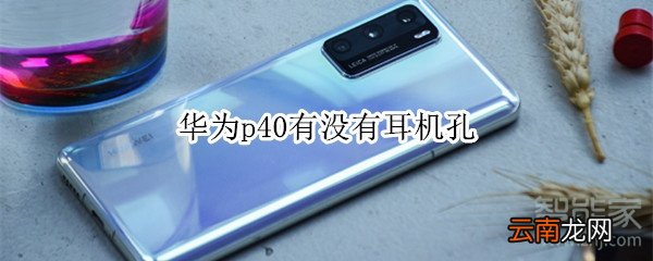 华为p40有没有耳机孔