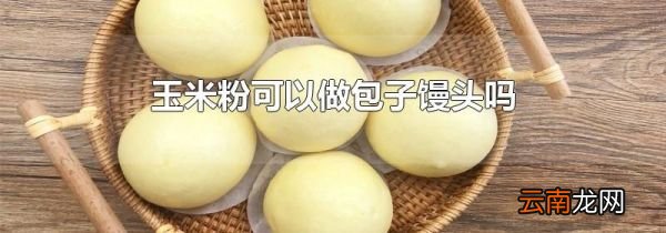玉米粉可以做包子馒头吗