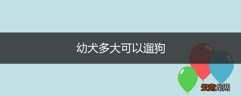 幼犬多大可以遛狗