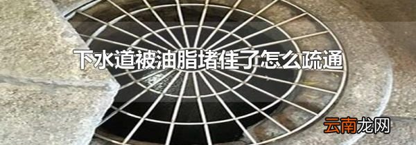 下水道被油脂堵住了怎么疏通