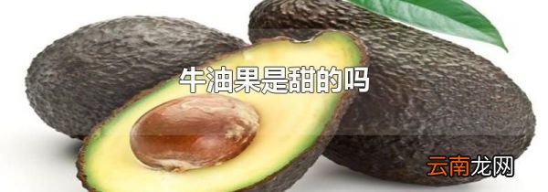 牛油果是甜的吗