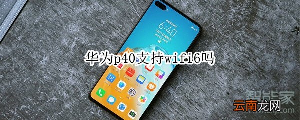 华为p40支持wifi6吗