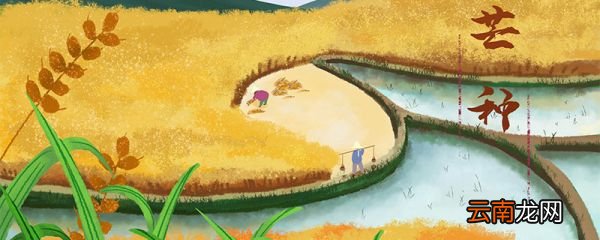 芒种吃什么水果 芒种要吃什么水果
