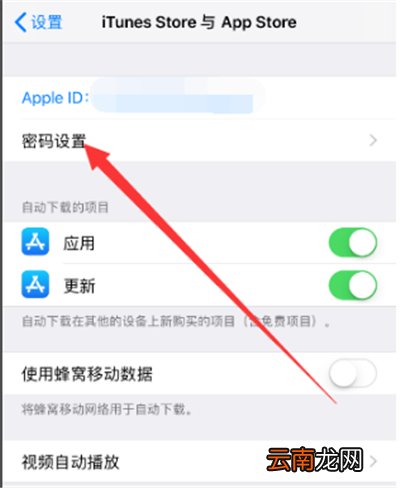 苹果手机怎么设置下载需要密码