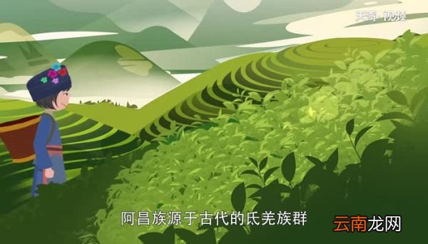 耍白象是哪个民族的节日 耍白象是什么族的节日