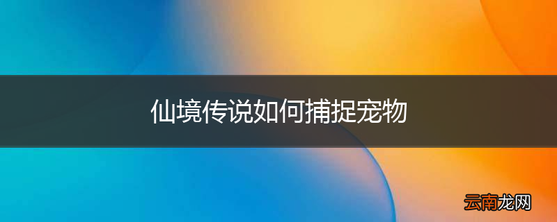 仙境传说如何捕捉宠物