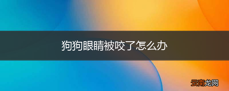 狗狗眼睛被咬了怎么办