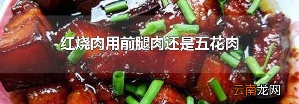 红烧肉用前腿肉还是五花肉