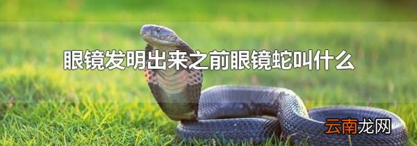 眼镜发明出来之前眼镜蛇叫什么