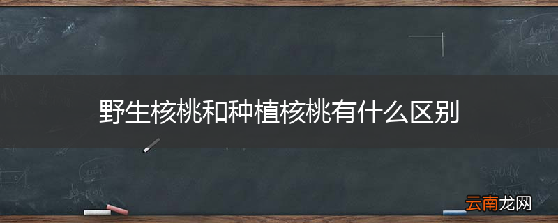 野生核桃和种植核桃有什么区别