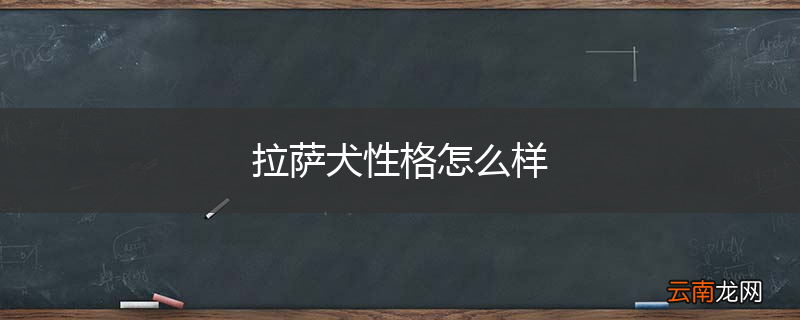 拉萨犬性格怎么样