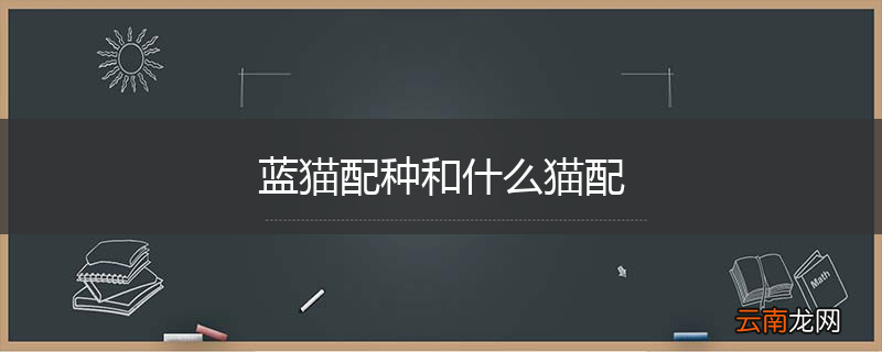 蓝猫配种和什么猫配