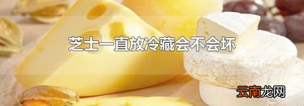 芝士一直放冷藏会不会坏