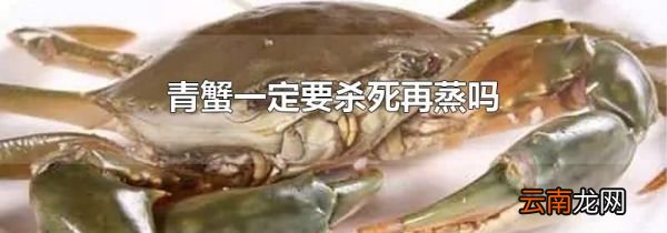 青蟹一定要杀死再蒸吗