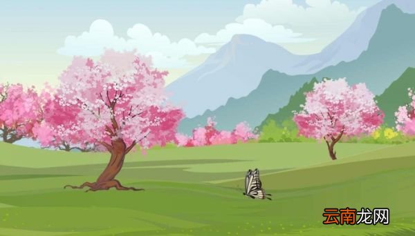 梅花开了怎么发朋友圈 梅花开了发朋友圈