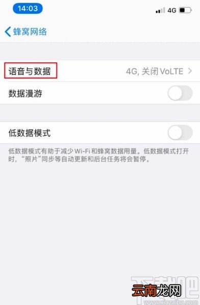 苹果手机打开VoLTE功能的方法步骤