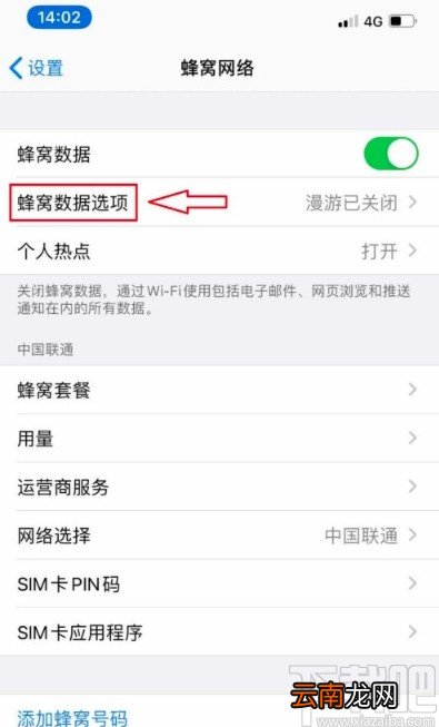 苹果手机打开VoLTE功能的方法步骤