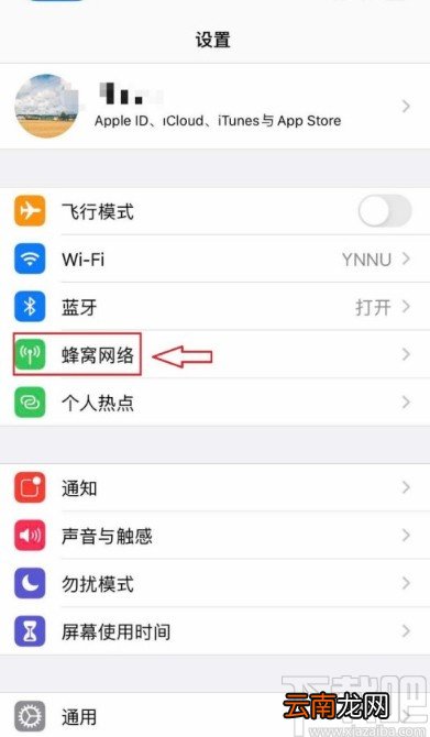 苹果手机打开VoLTE功能的方法步骤