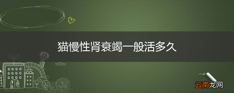 猫慢性肾衰竭一般活多久
