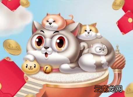 天猫叠猫猫加入队伍失败解决办法