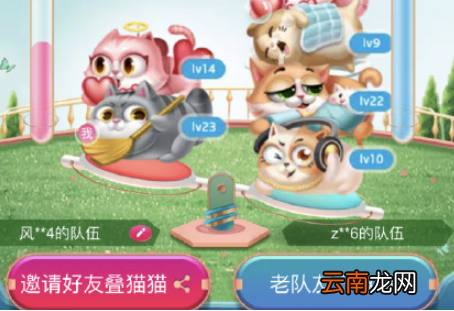 天猫叠猫猫加入队伍失败解决办法