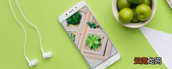 vivox21有红外线功能吗 vivox21手机有红外线功能吗