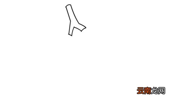 肺炎简笔画教程