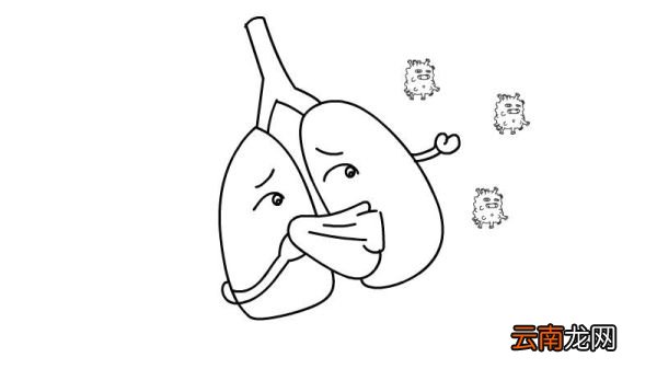 肺炎简笔画教程