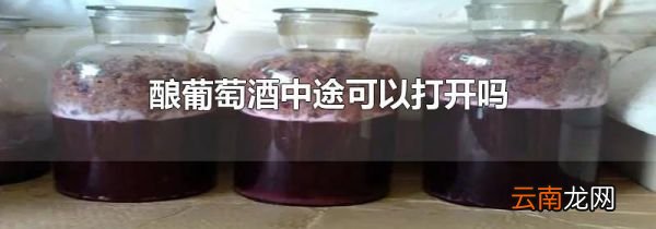 酿葡萄酒中途可以打开吗