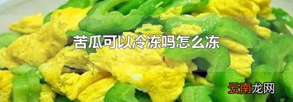 苦瓜可以冷冻吗怎么冻