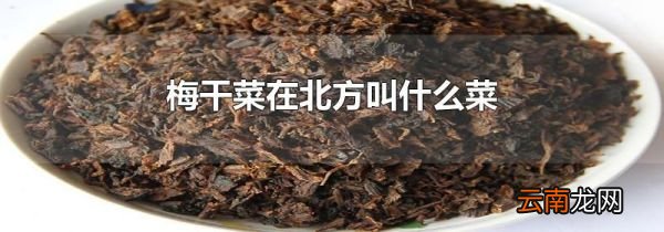 梅干菜在北方叫什么菜