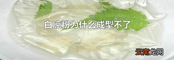 白凉粉为什么成型不了