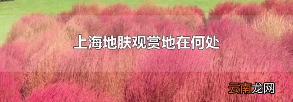 上海地肤观赏地在何处