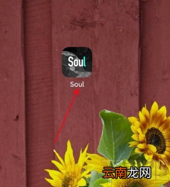 soulAPP开通超级星人的方法步骤