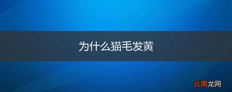 为什么猫毛发黄