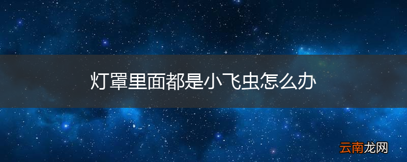 灯罩里面都是小飞虫怎么办