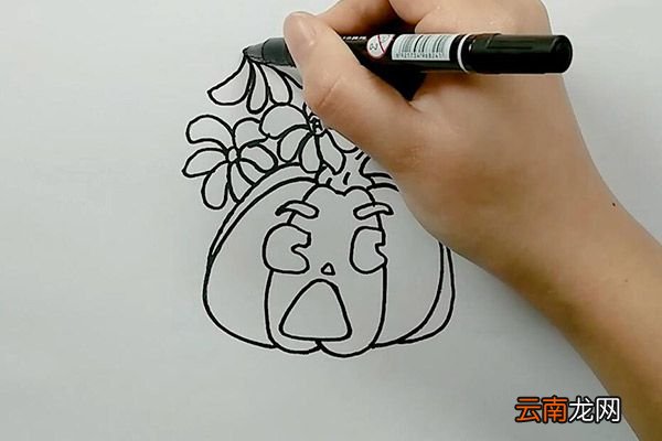 南瓜和花朵简笔画 南瓜和花朵怎么画