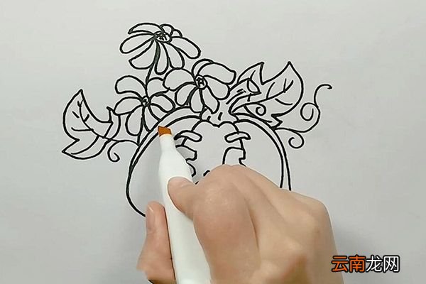 南瓜和花朵简笔画 南瓜和花朵怎么画