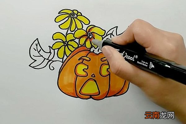 南瓜和花朵简笔画 南瓜和花朵怎么画