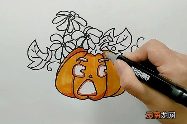 南瓜和花朵简笔画 南瓜和花朵怎么画