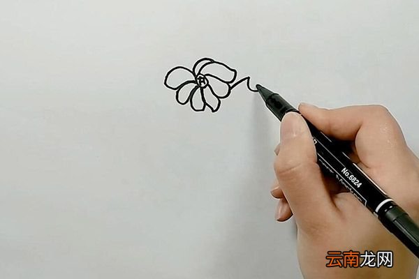 南瓜和花朵简笔画 南瓜和花朵怎么画