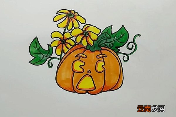 南瓜和花朵简笔画 南瓜和花朵怎么画