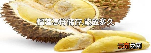 榴莲怎样储存,能放多久
