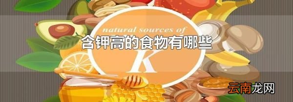 含钾高的食物有哪些