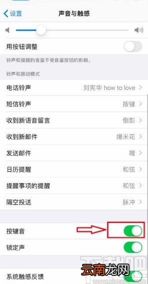 苹果手机关闭键盘打字音效的方法步骤