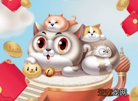天猫叠猫猫队长换队伍方法