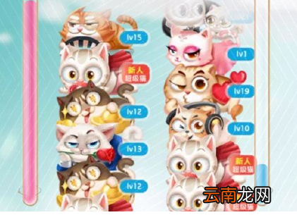 天猫叠猫猫战队名称修改方法