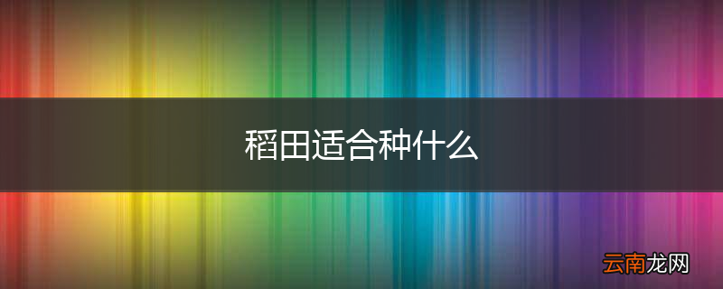 稻田适合种什么